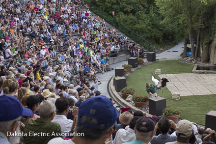 World of Birds show