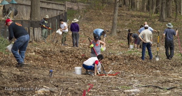 people planting native plants