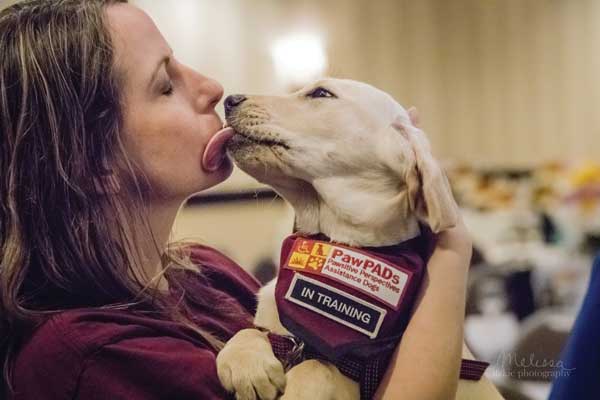 A PawPADs dog licking a handler's face