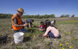 people planting flowers