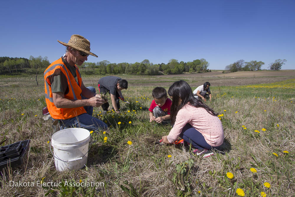 people planting flowers