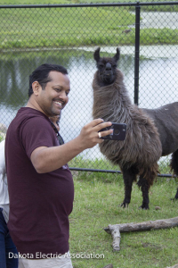 man with iphone takes picture of self and llama