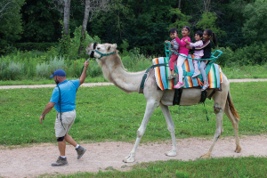 camel ride