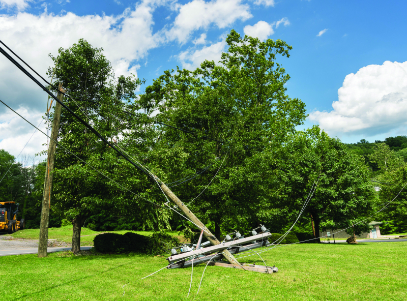 Trees & Power Lines Dakota Electric Association®
