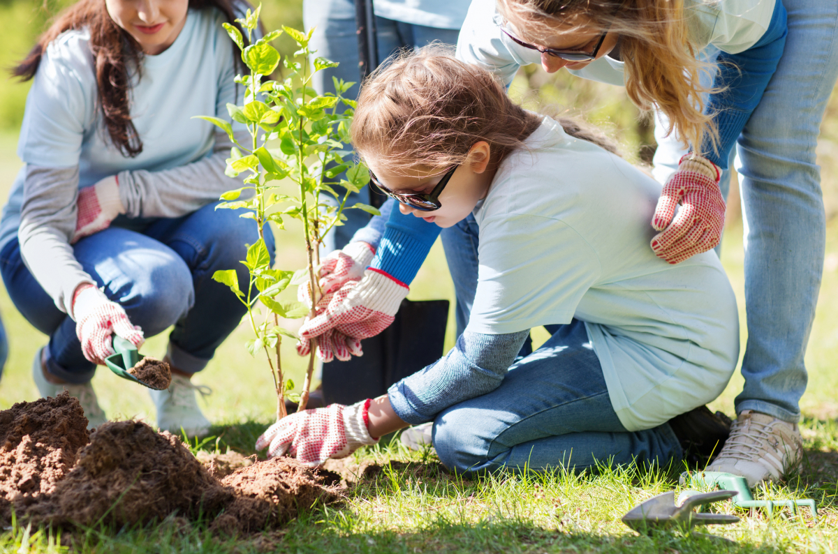 Tree Planting Camp Jobs at Valerie Matthews blog