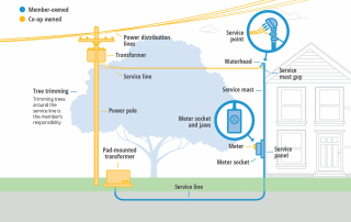 Who Owns What Graphic