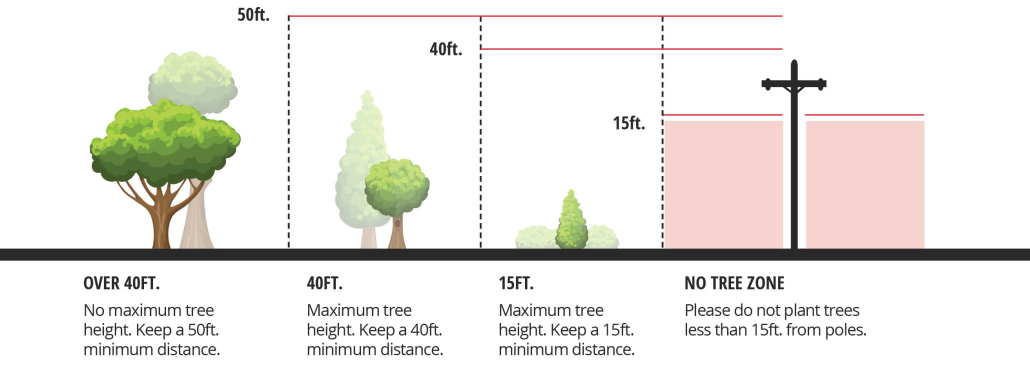 diagram of planting guidelines for trees, shrubs, and other vegetation and relative distance from power lines