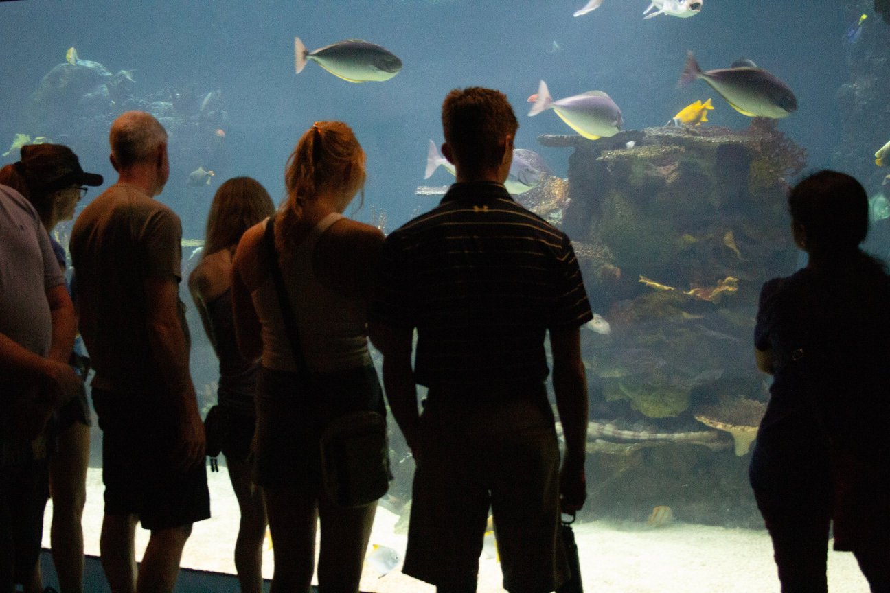 People standing in front of a large aquarium