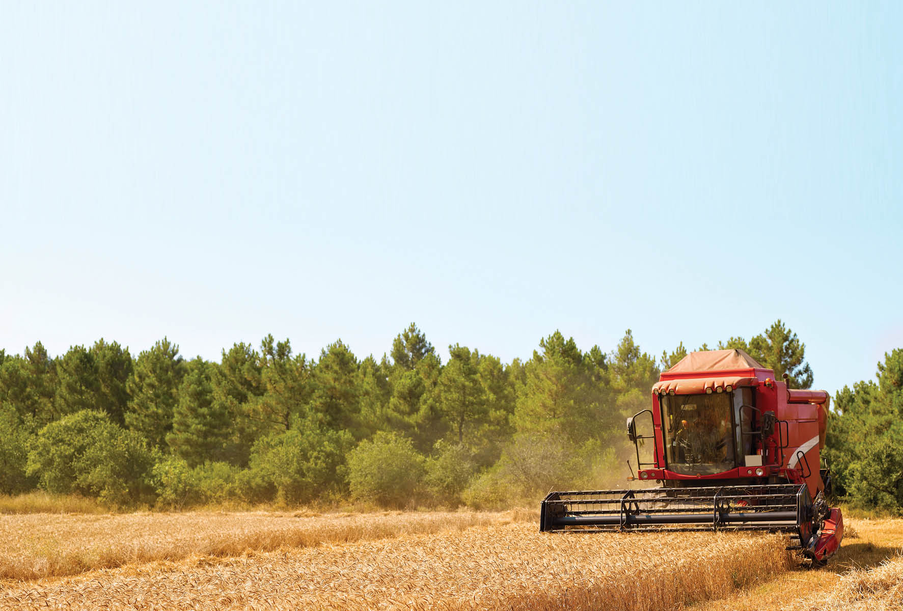 Crops Day Featured Image