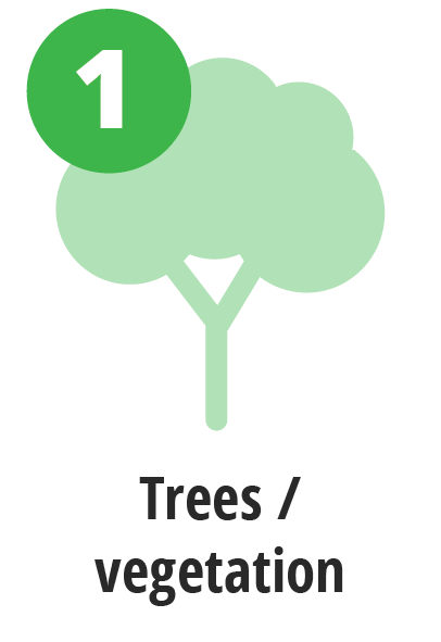 Tree Outage